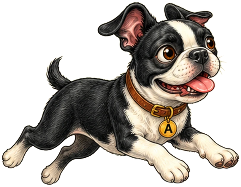 Albert, a black-and-white dog with an A on his collar